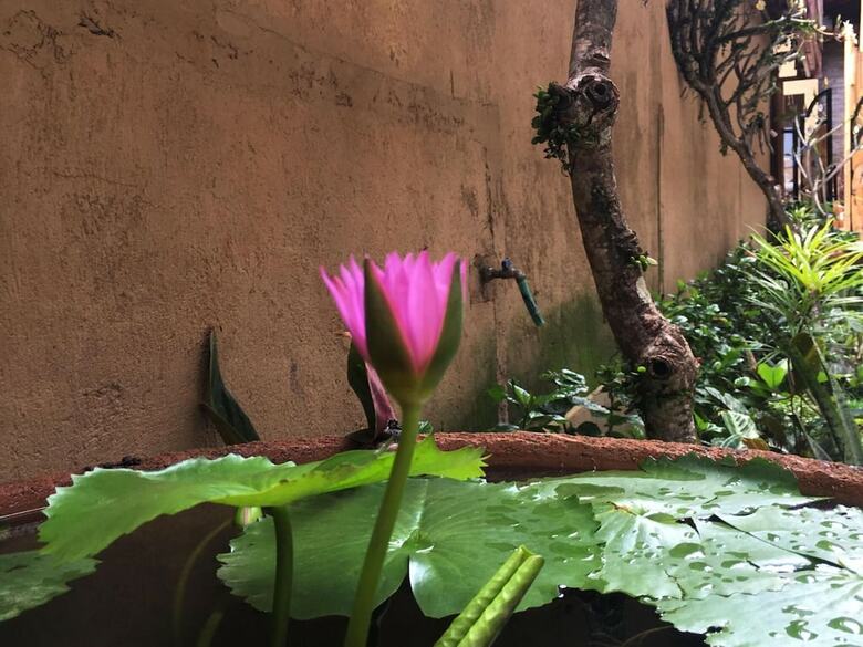 Hotel Bulan Bali Homestay
