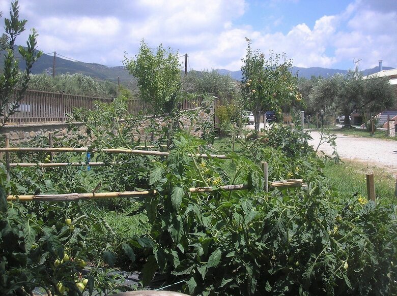 Aparthotel Socrates Organic Village-wild Olive