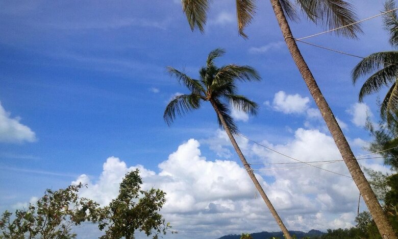 Hotel Coconut Homes & Cafe