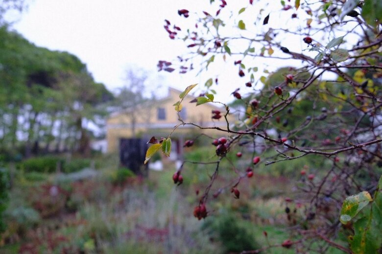 Bed & Breakfast Giardino Della Moscatella