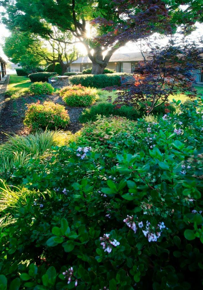 Hotel Best Western Plus Garden Inn