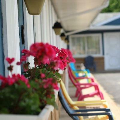 Motel Coastal Inn Digby