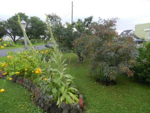 Gite La Ptite Falaise Bed And Breakfast