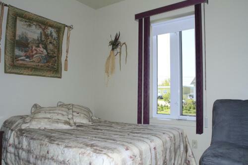 Gite La Ptite Falaise Bed And Breakfast