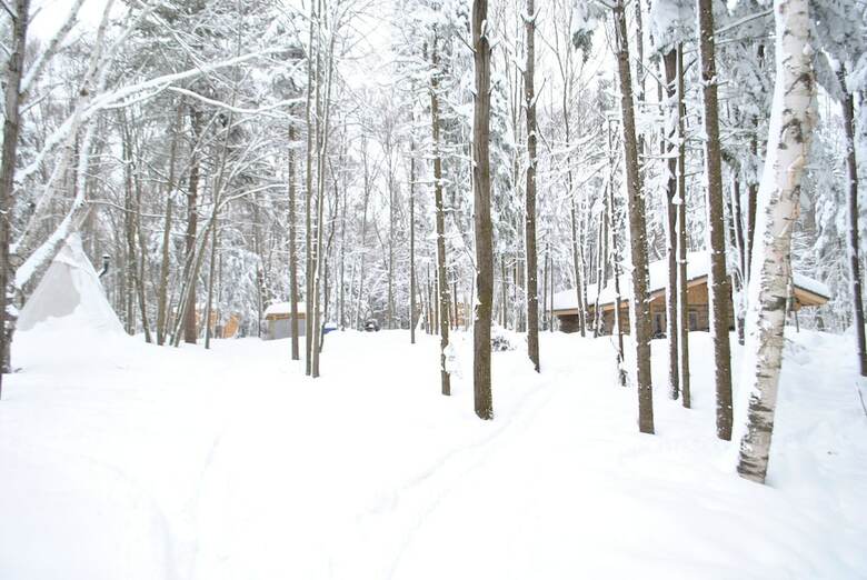 Chimo Refuges Treehouse Resort