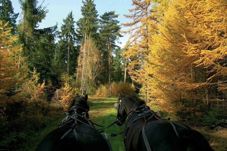 Bed & Breakfast Hotel Traumzeithof