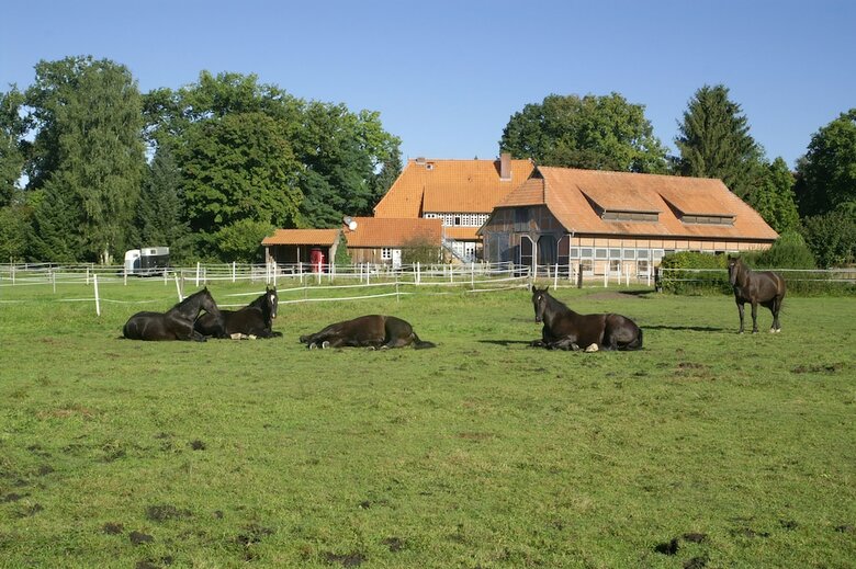 Bed & Breakfast Hotel Traumzeithof