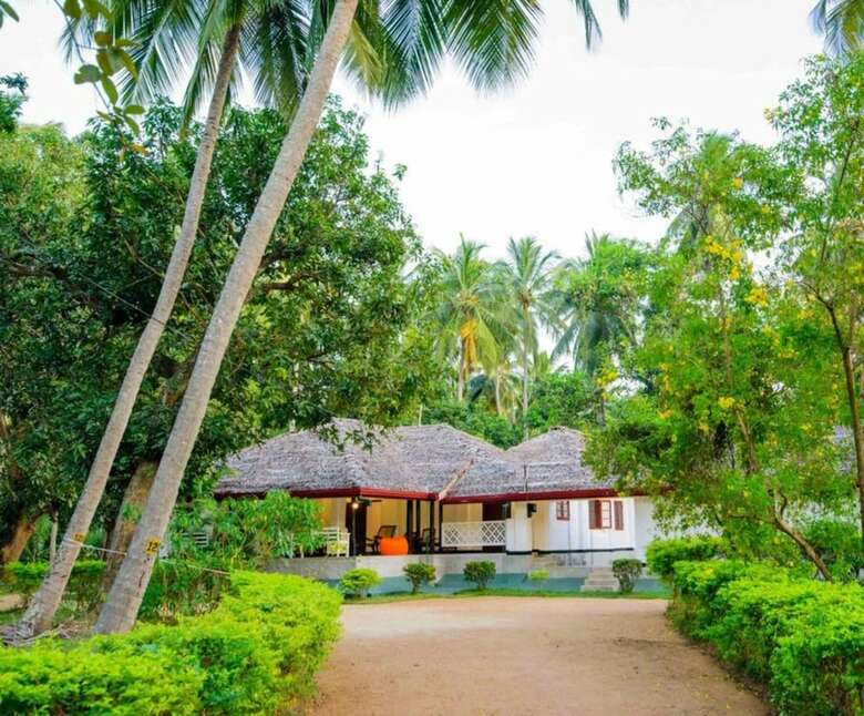 Hotel The Berrycove Bungalow