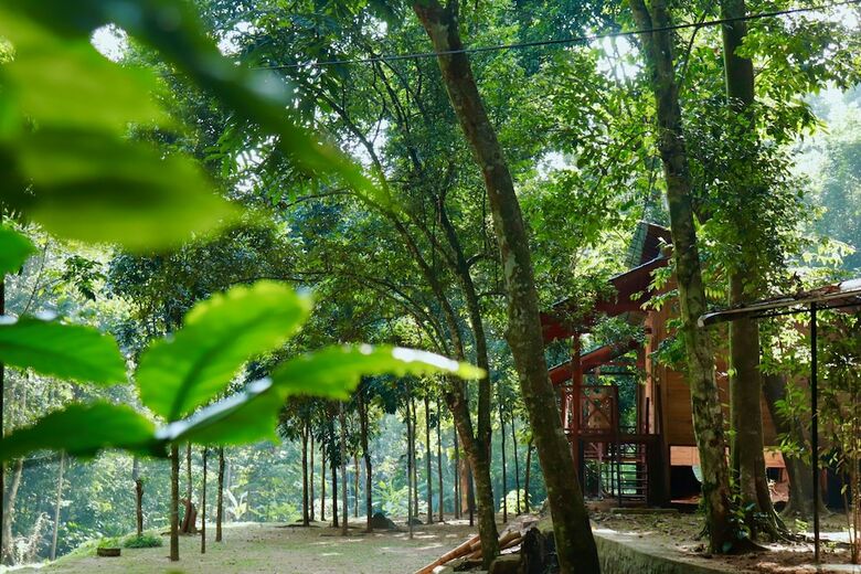 Hotel Paradise Eco Garden