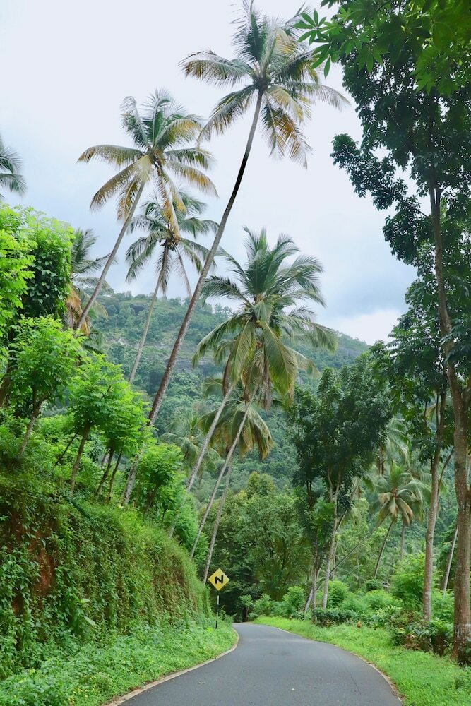 Hotel Paradise Eco Garden