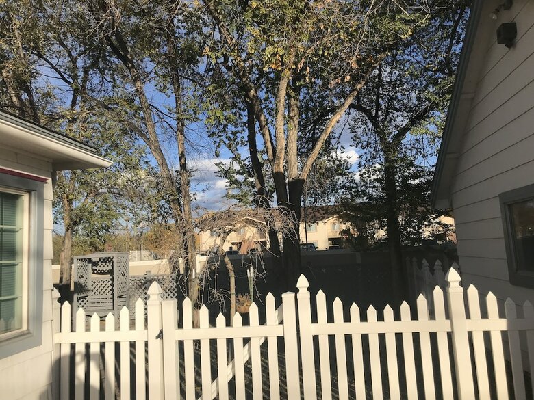 Celestial Rose Bed & Breakfast
