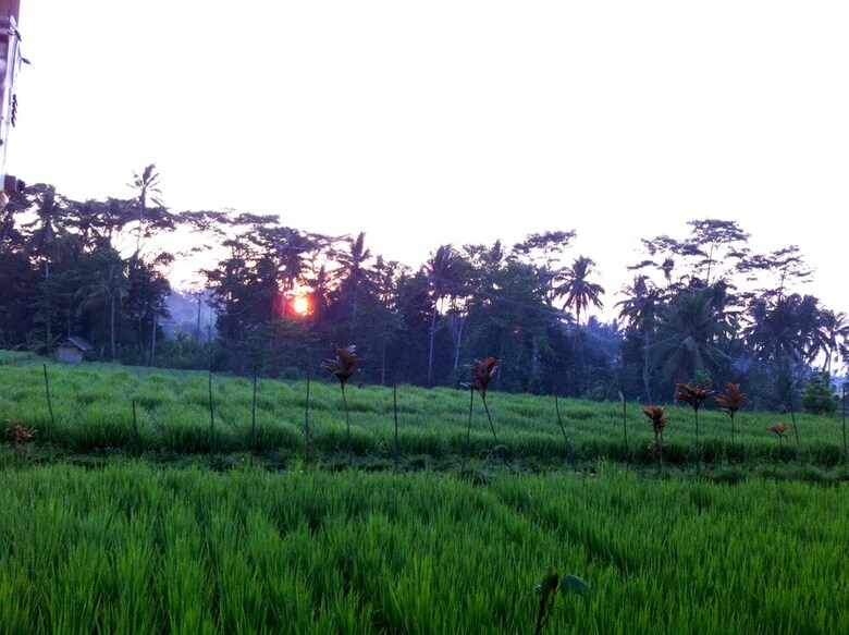 Bed & Breakfast Villa Neyang