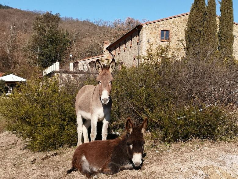 Agroturismo La Meridiana Agriturismo