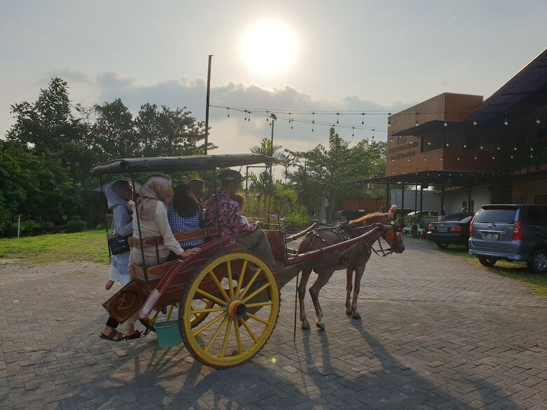 Hostal Borobudur Bed & Breakfast