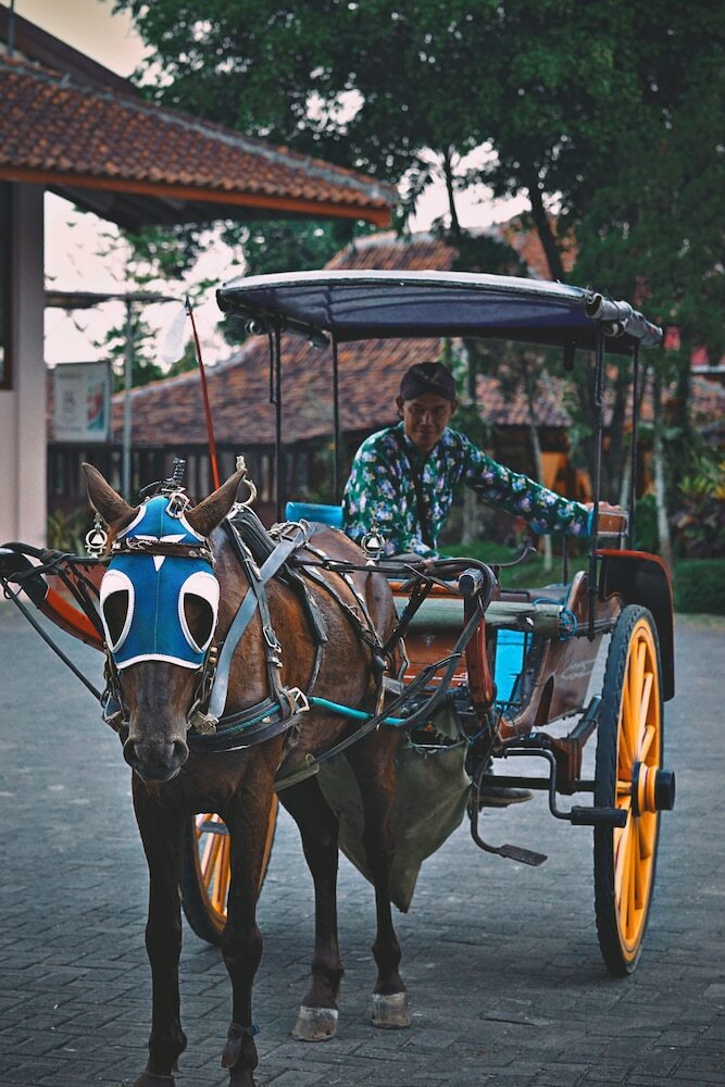 Hostal Borobudur Bed & Breakfast