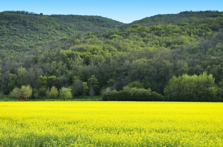 Agroturismo Agriturismo Il Corniolo