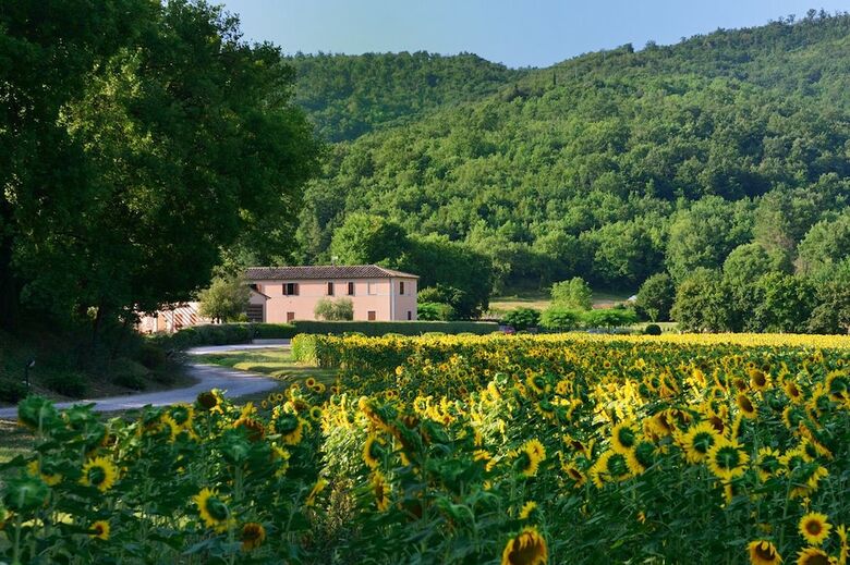 Agroturismo Agriturismo Il Corniolo