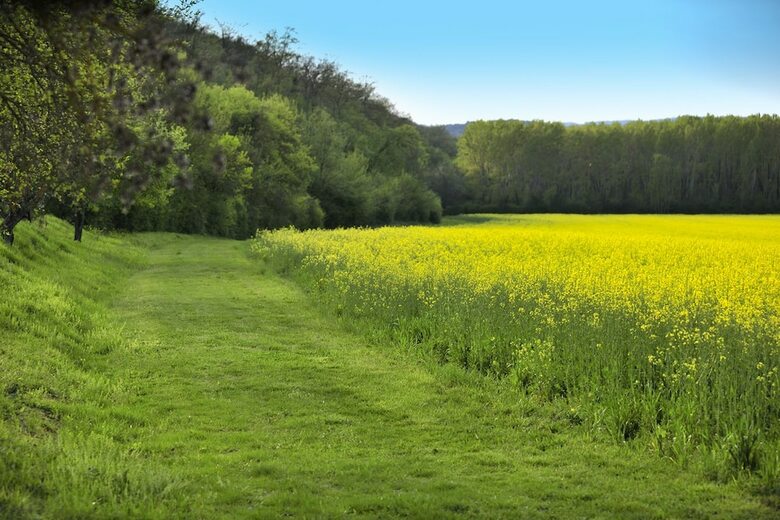 Agroturismo Agriturismo Il Corniolo
