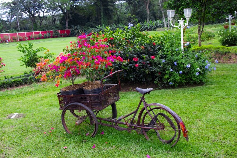 Hotel Rancho Guacamayos