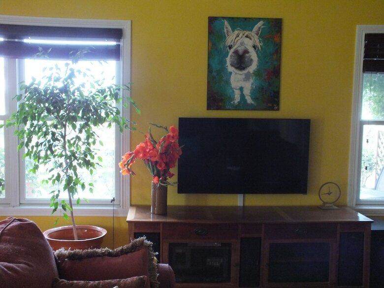 Residencia Montrose Farms Alpaca Ranch