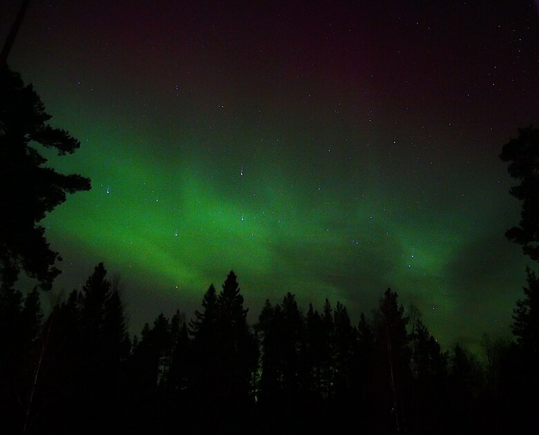 Vildmarks Lodge