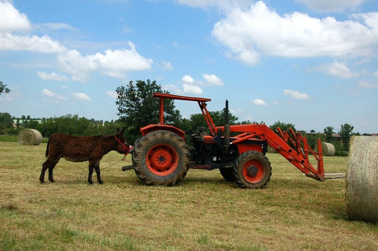 Agroturismo Agriturismo La Razza