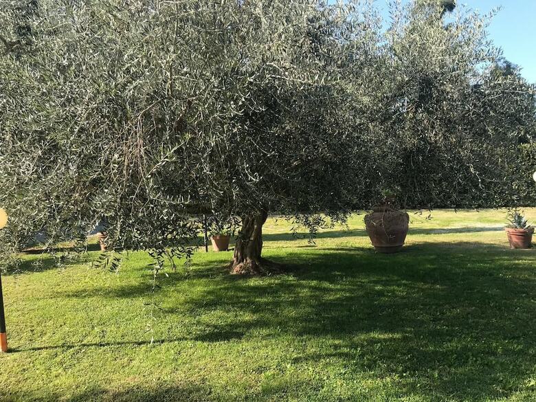 Agroturismo La Grande Quercia