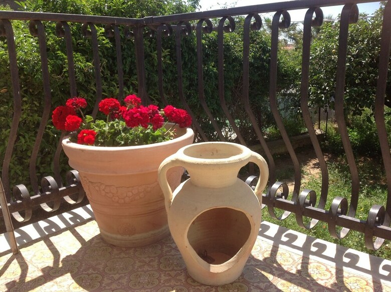 B&B Il Giardino Degli Agrumi