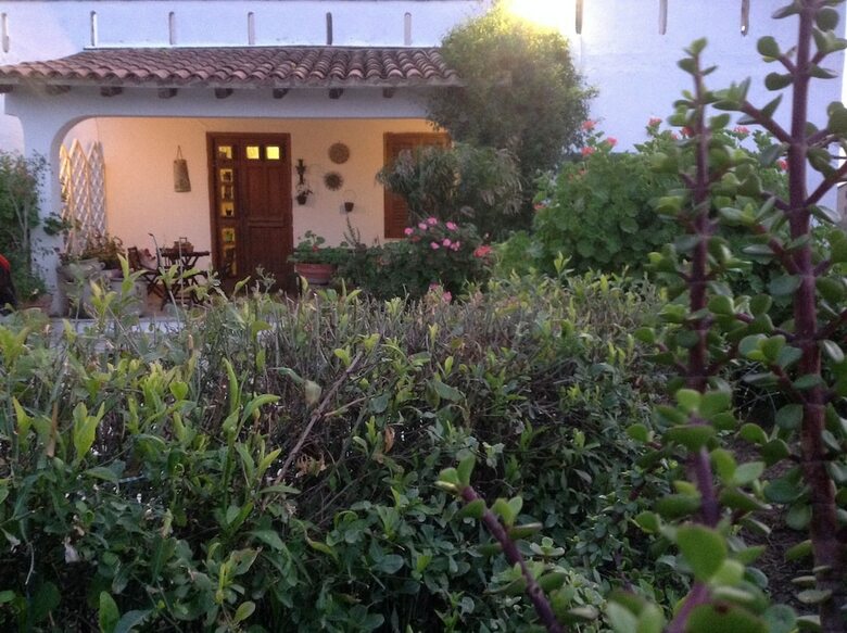 B&B Il Giardino Degli Agrumi
