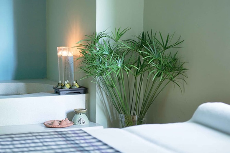 Hotel Wishing Tree Resort
