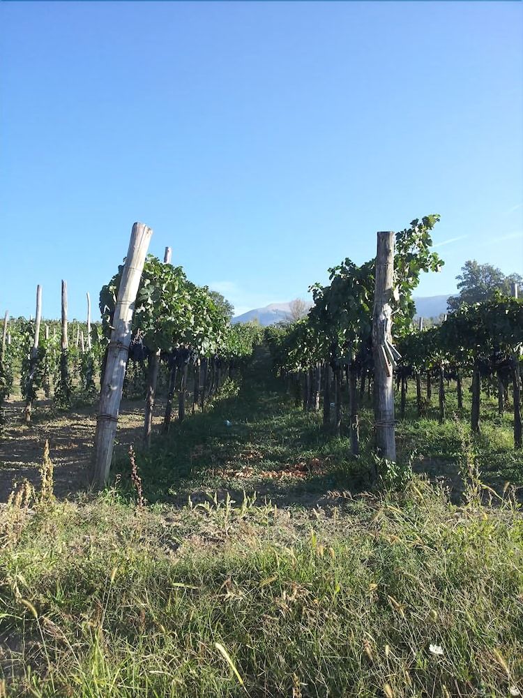 Agroturismo Agriturismo Santa Giusta