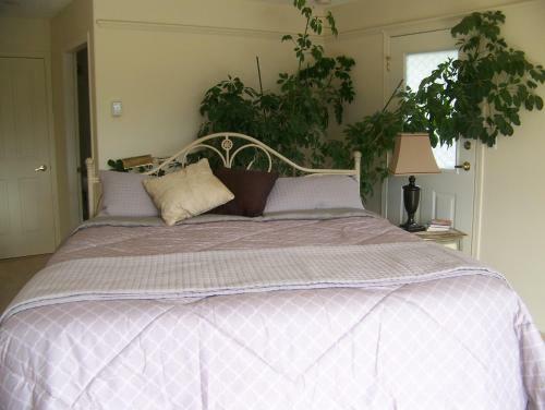 Moonlit Cove B&B