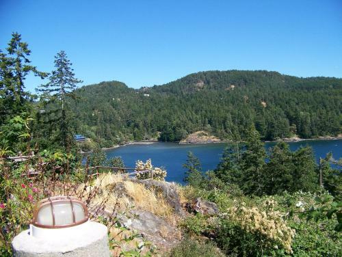 Moonlit Cove B&B