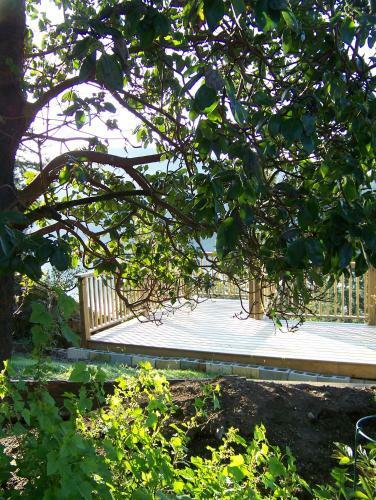 Moonlit Cove B&B