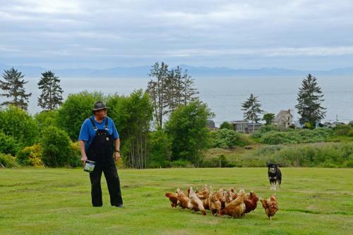 Gordon's Beach Farm Stay B&B