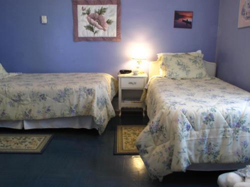 The Nelson House Bed And Breakfast