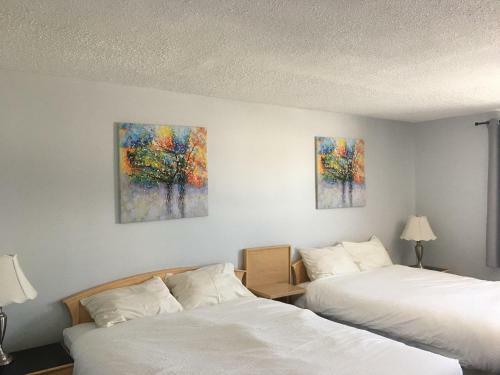 Royal Star Motor Inn