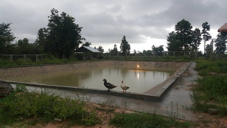 Hotel Pings Farmstay