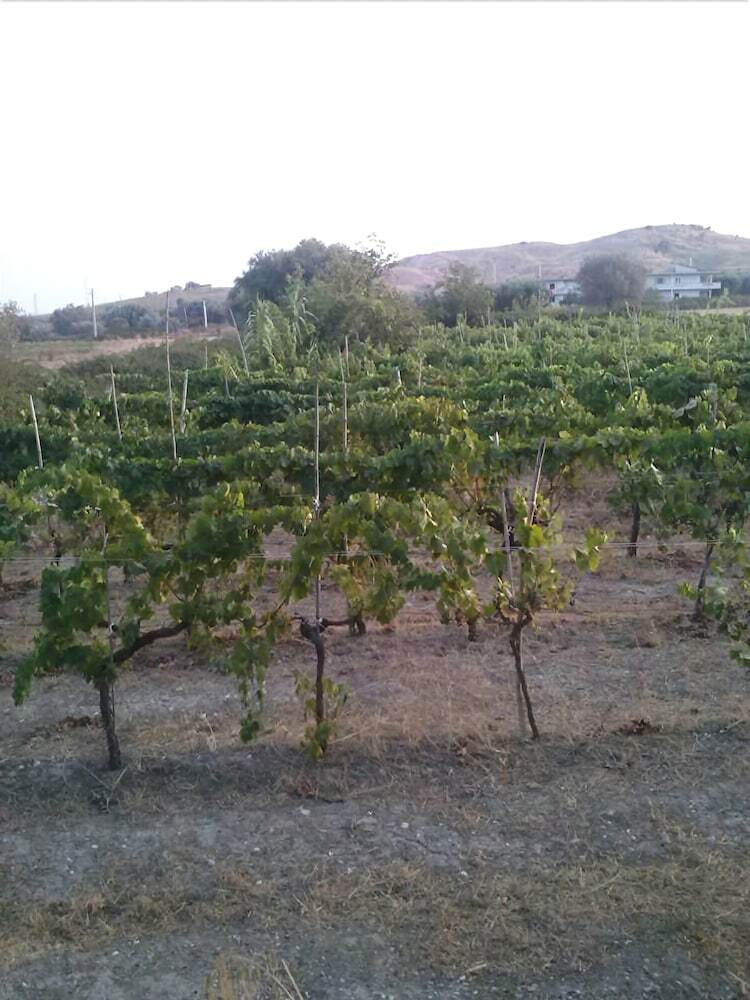 Agroturismo Agriturismo Nereide Ceratti