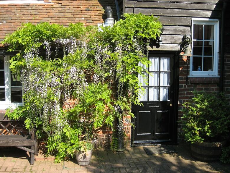 Stream House Luxury Bed And Breakfast