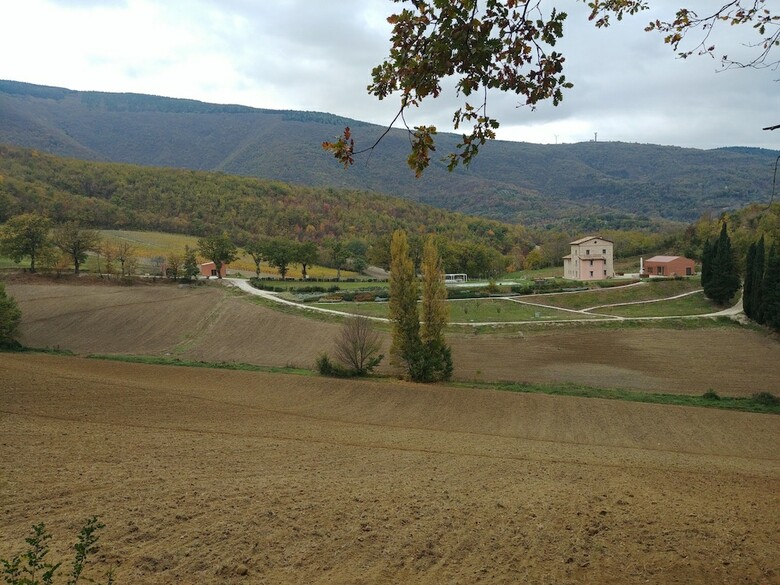 Agroturismo Agriturismo Colle Casini Cortesi