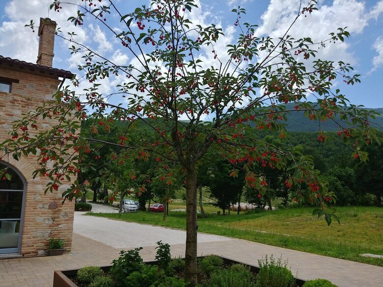 Agroturismo Agriturismo Colle Casini Cortesi
