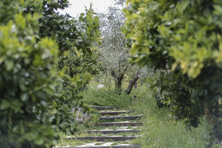 Hotel Opora Country Living