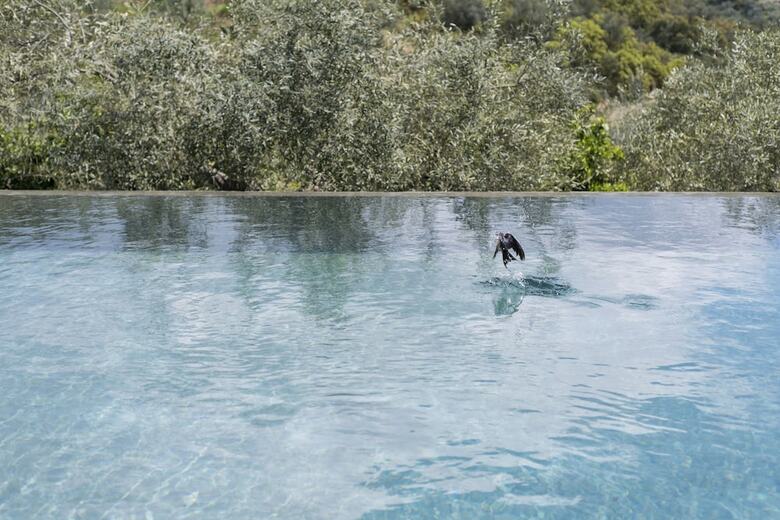 Hotel Opora Country Living