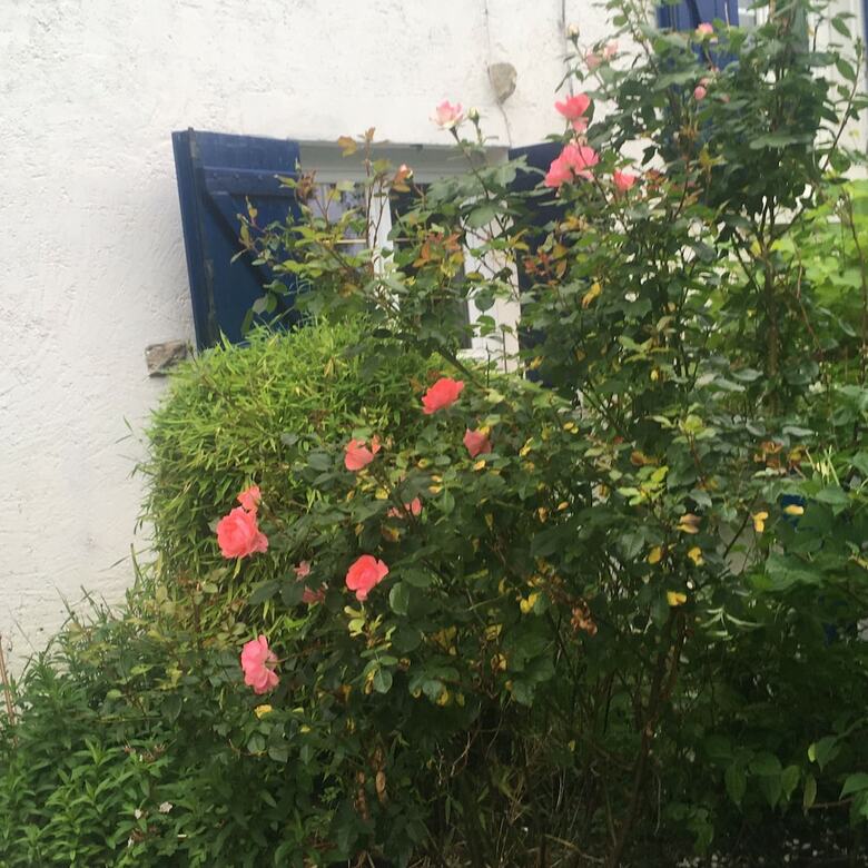 Bed & Breakfast Chez Fred Et C�cile