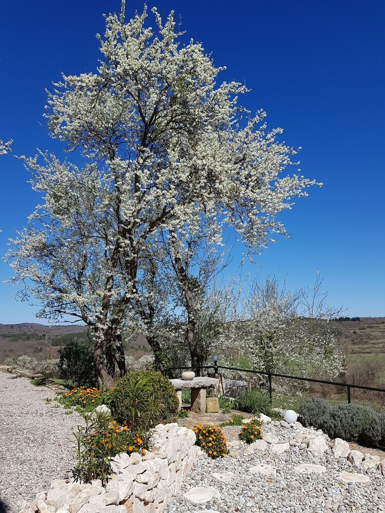 Bed & Breakfast La Cocagni�re - In A Rural Location