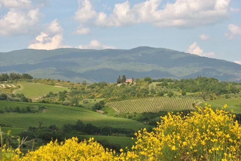 Apartamento B&B Lavanda E Rosmarino