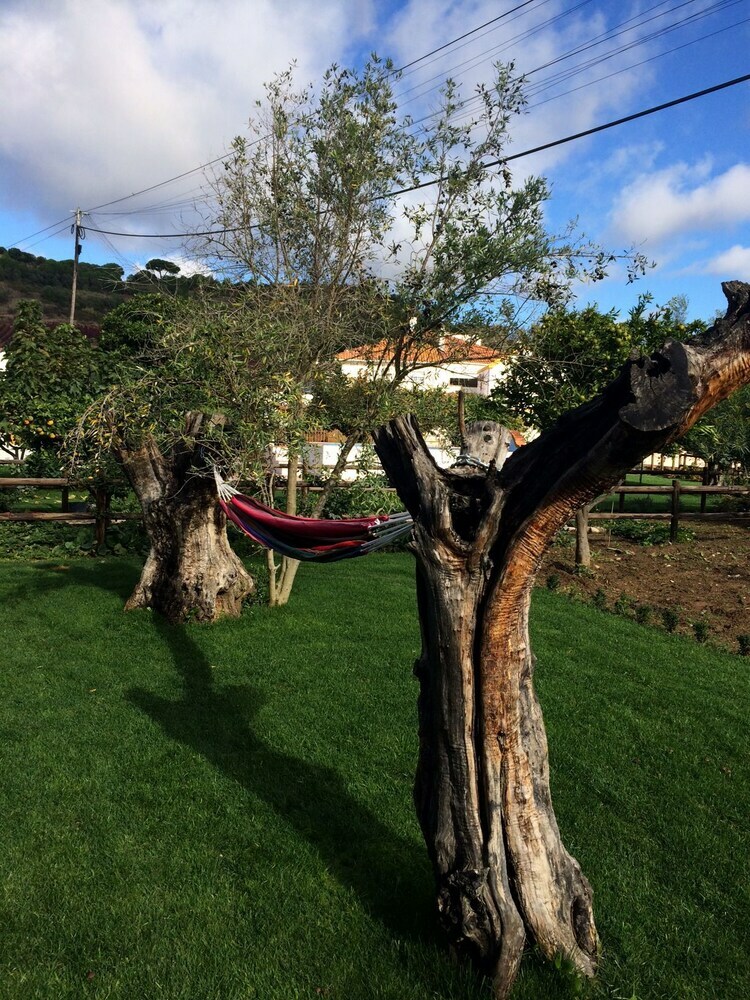 Hotel Quinta Ribeira Do Labrador - Lisbon West Wine Route