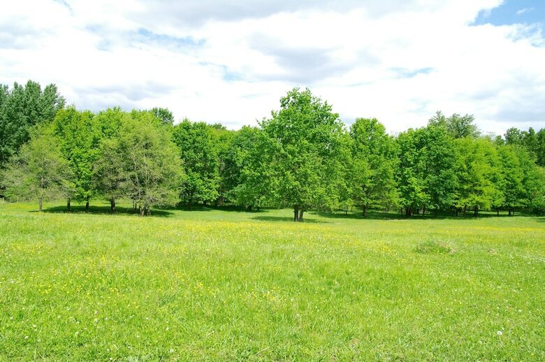 Ecologites Les Sureaux
