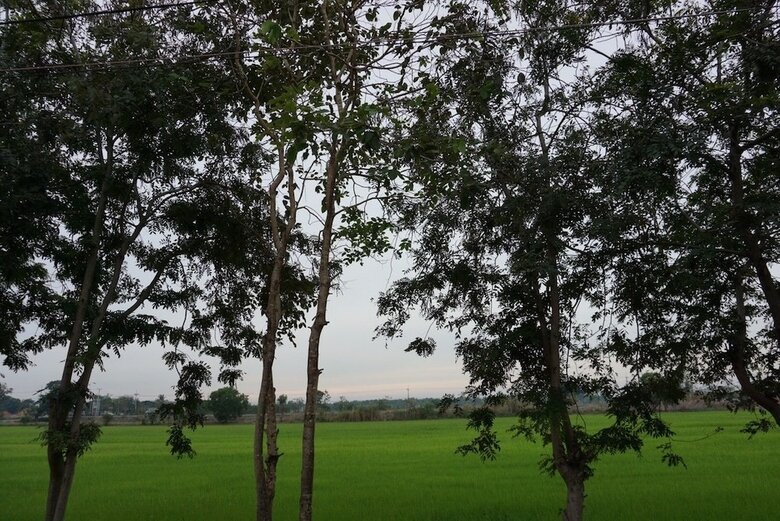 Hotel Punna Homestay @ Bangsai